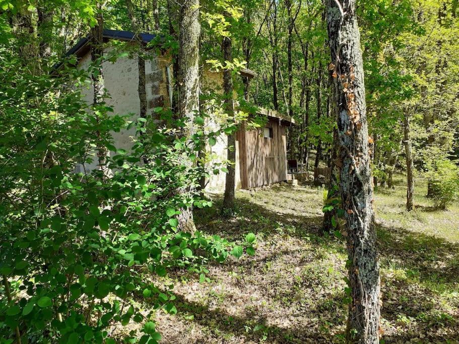 Le Gite De La Cabane De L'Oiseau Couze-et-Saint-Front Exterior photo